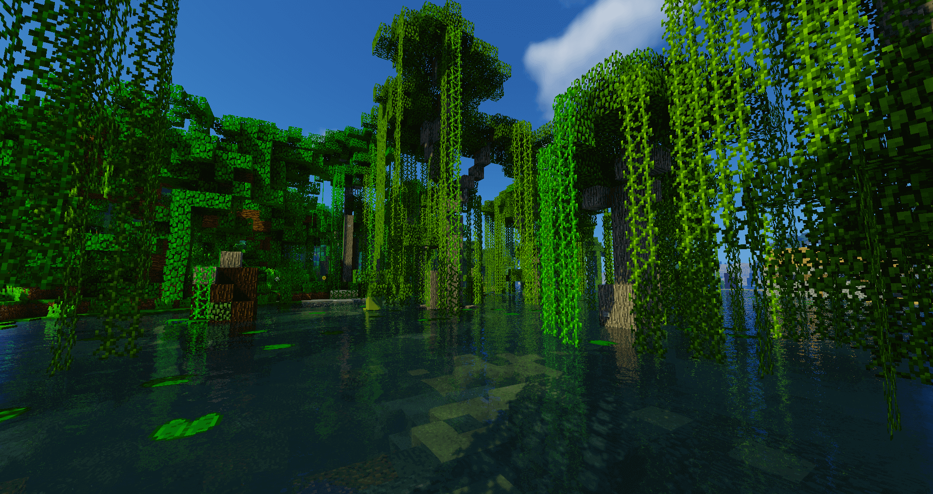 swamp