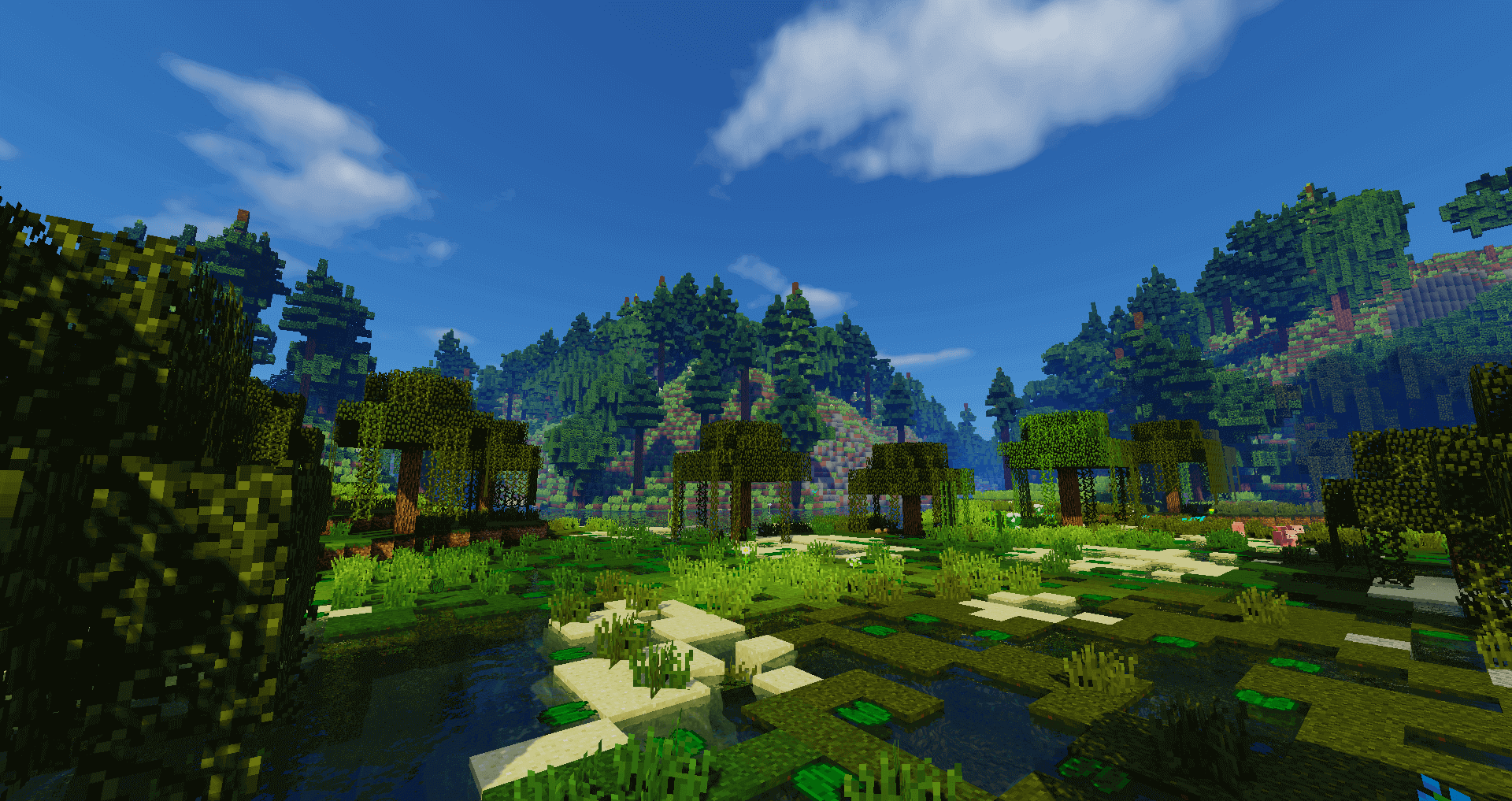 swampland